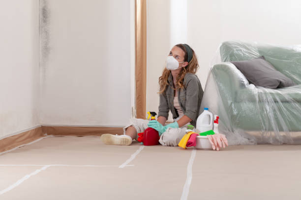 Trusted Attic Mold Removal service in Falkland, NC - WQB Mold Removal